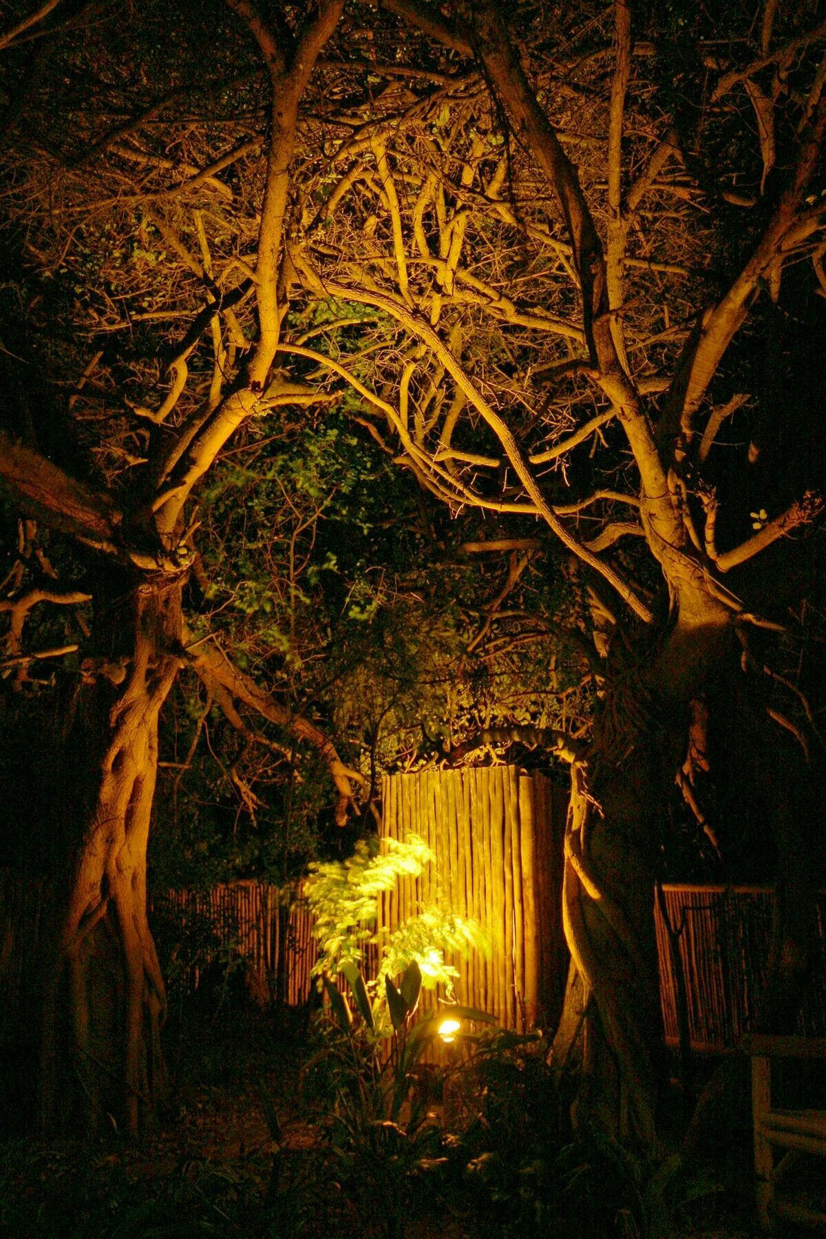 Emdoneni Lodge Hluhluwe Exterior photo